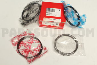 TP 342062FAC0025 RING PISTON 025 YD25-2