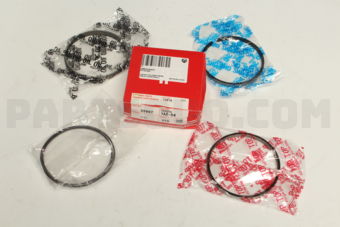 TP 359972FACSTD PISTON RING