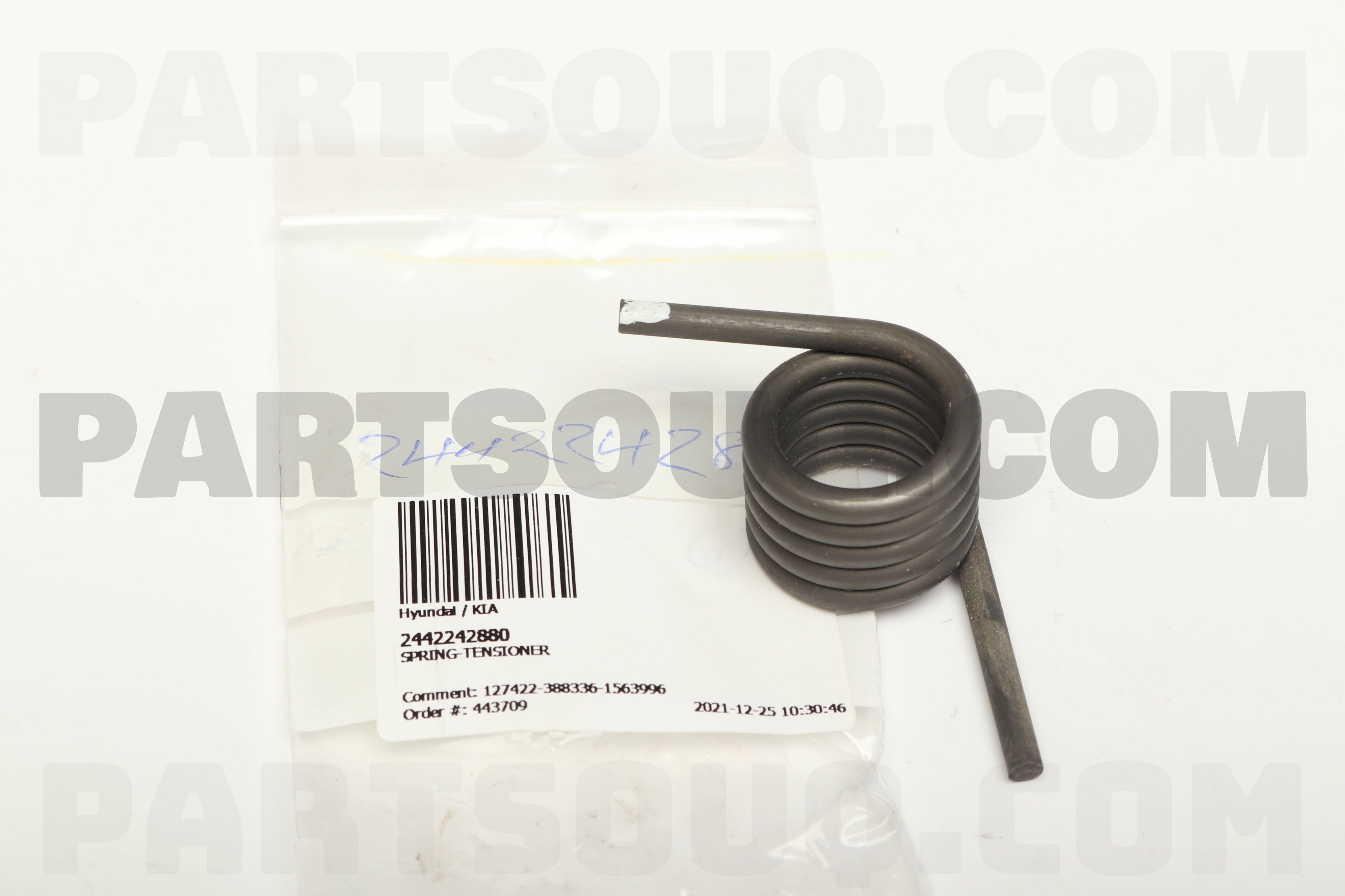 SPRING-TENSIONER 2442242880 | Hyundai / KIA Parts | PartSouq