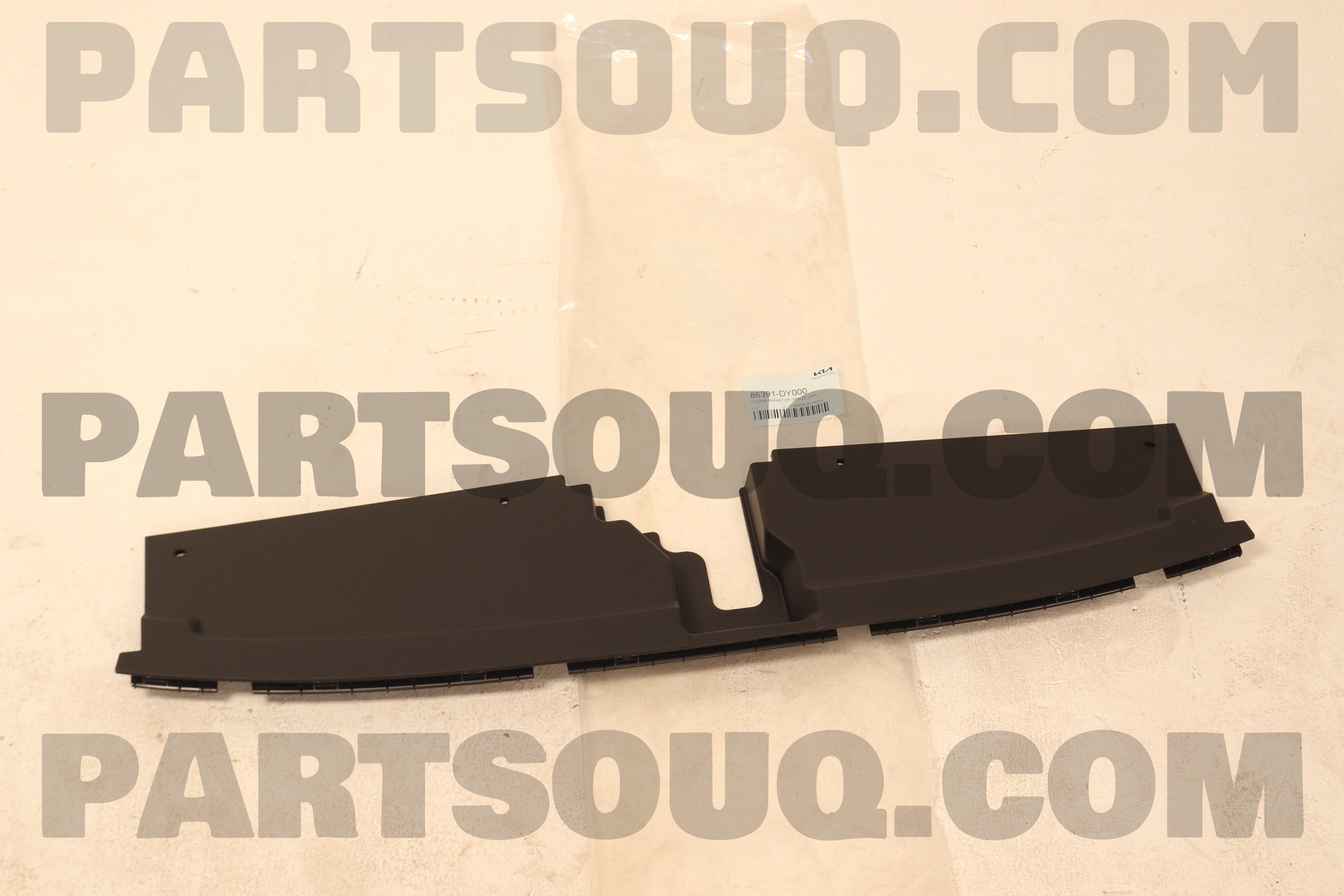 COVER-RADIATORGRILL 86391DY000 | Hyundai / KIA Parts | PartSouq