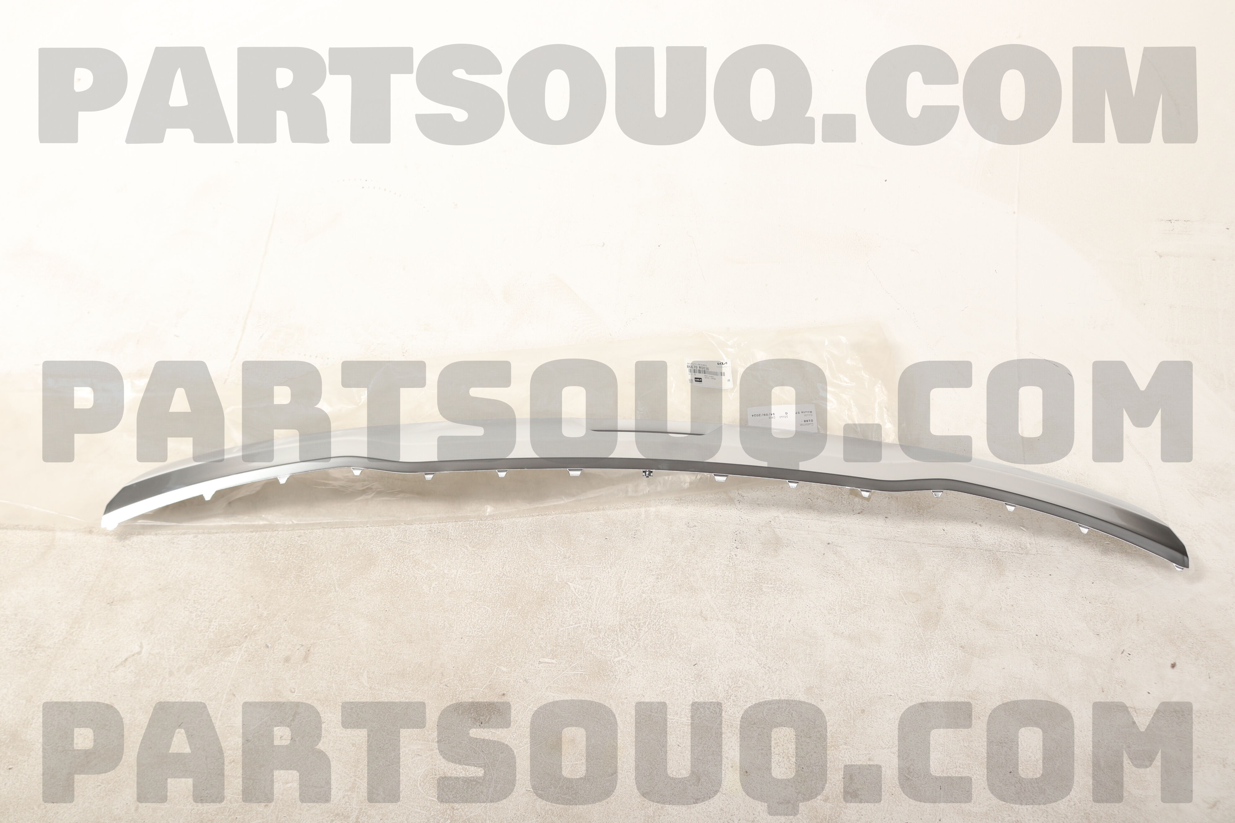 SKID PLATE-RR BUMPER 86670R0030 | Hyundai / KIA Parts | PartSouq