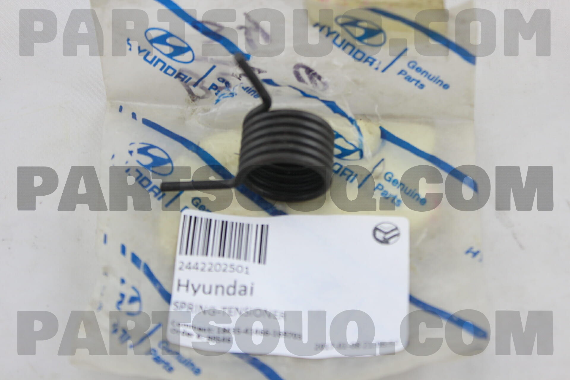 SPRING-TENSIONER 2442202501 | Hyundai / KIA Parts | PartSouq
