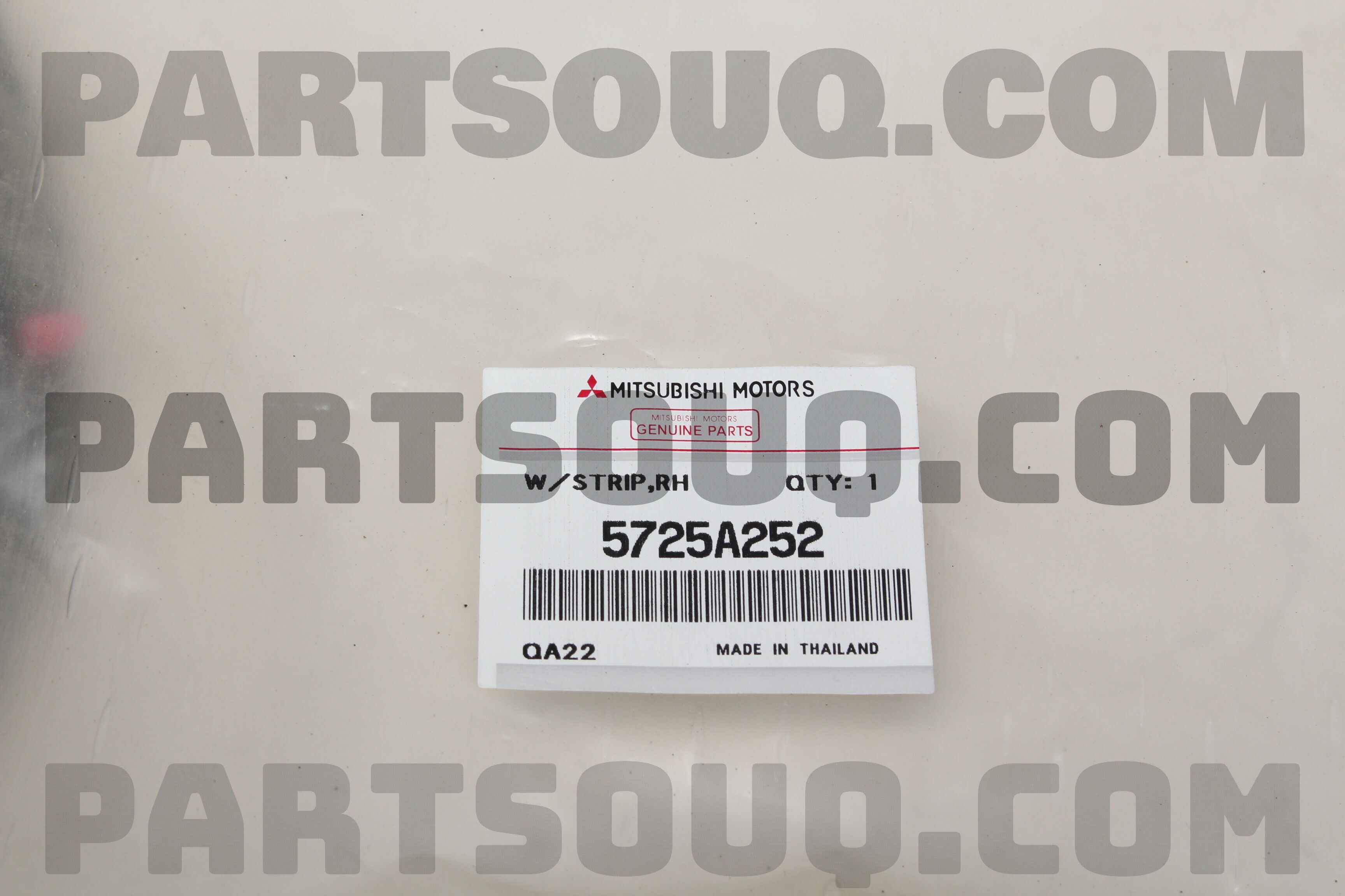 W/STRIP,FR DR OPNG,OTR RH 5725A252 | Mitsubishi Parts | PartSouq