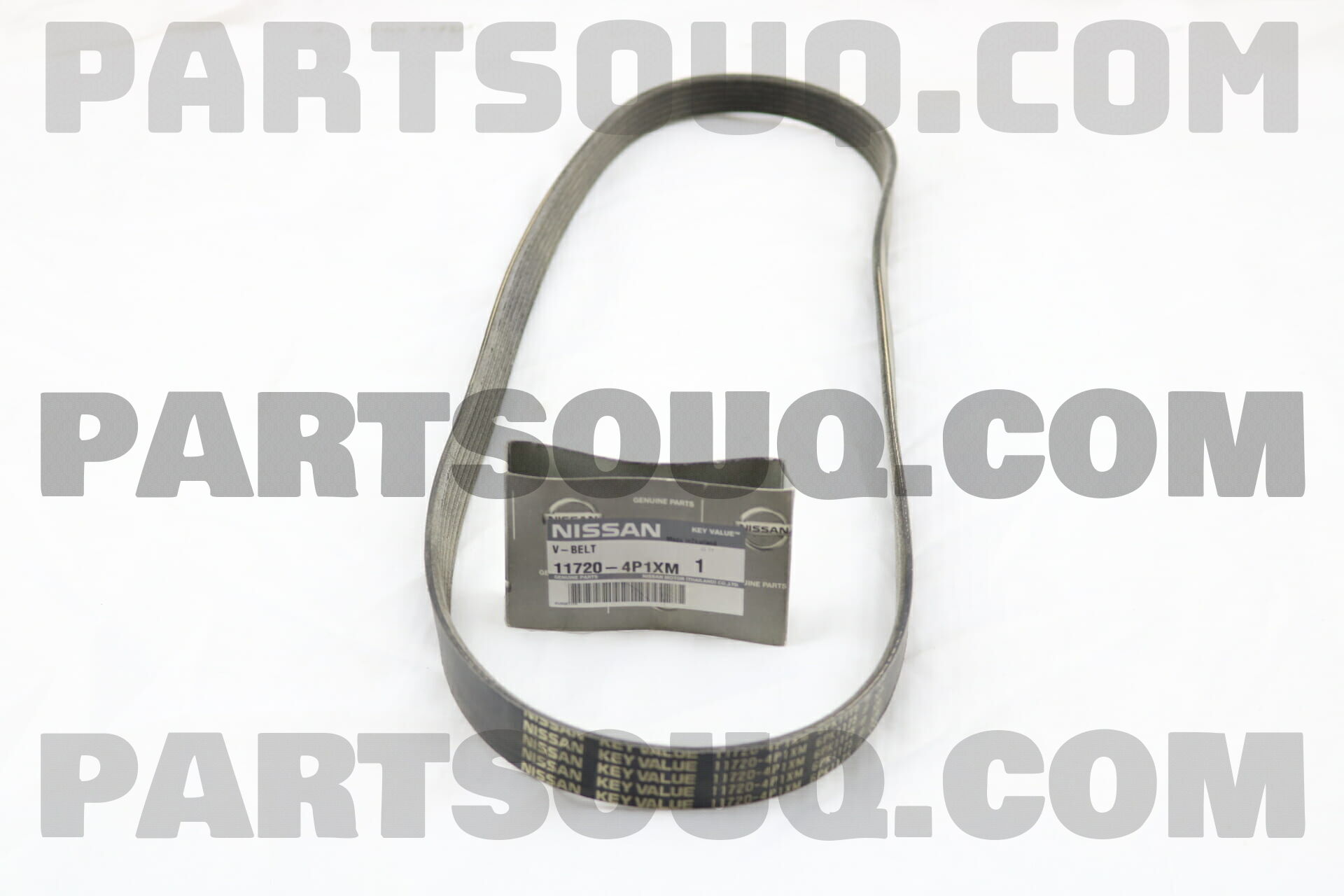 117204P1XM BELT-WATER PUMP