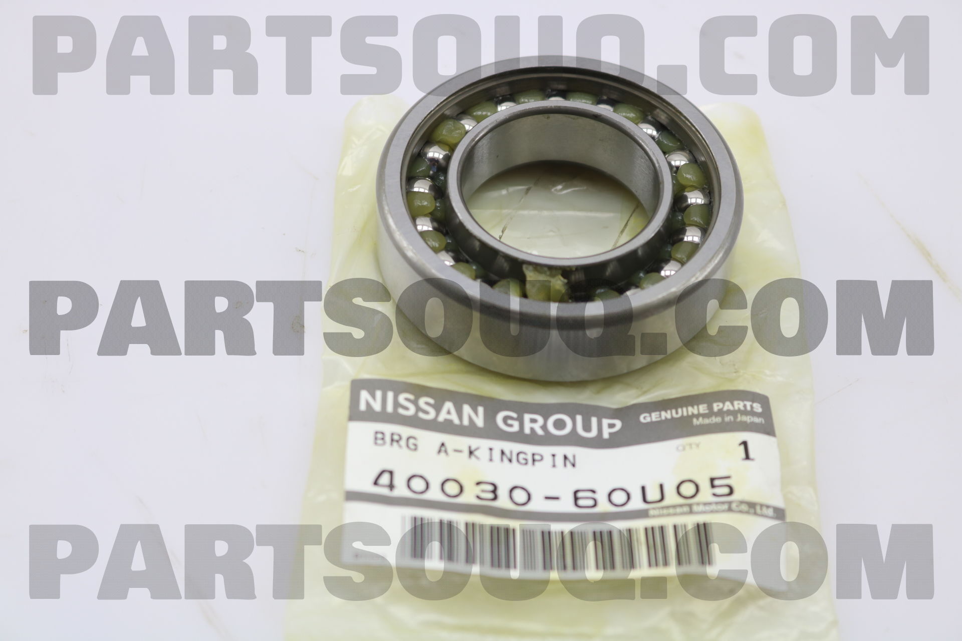 BEARING ASSY-KINGPIN 4003060U05 | Nissan Parts | PartSouq