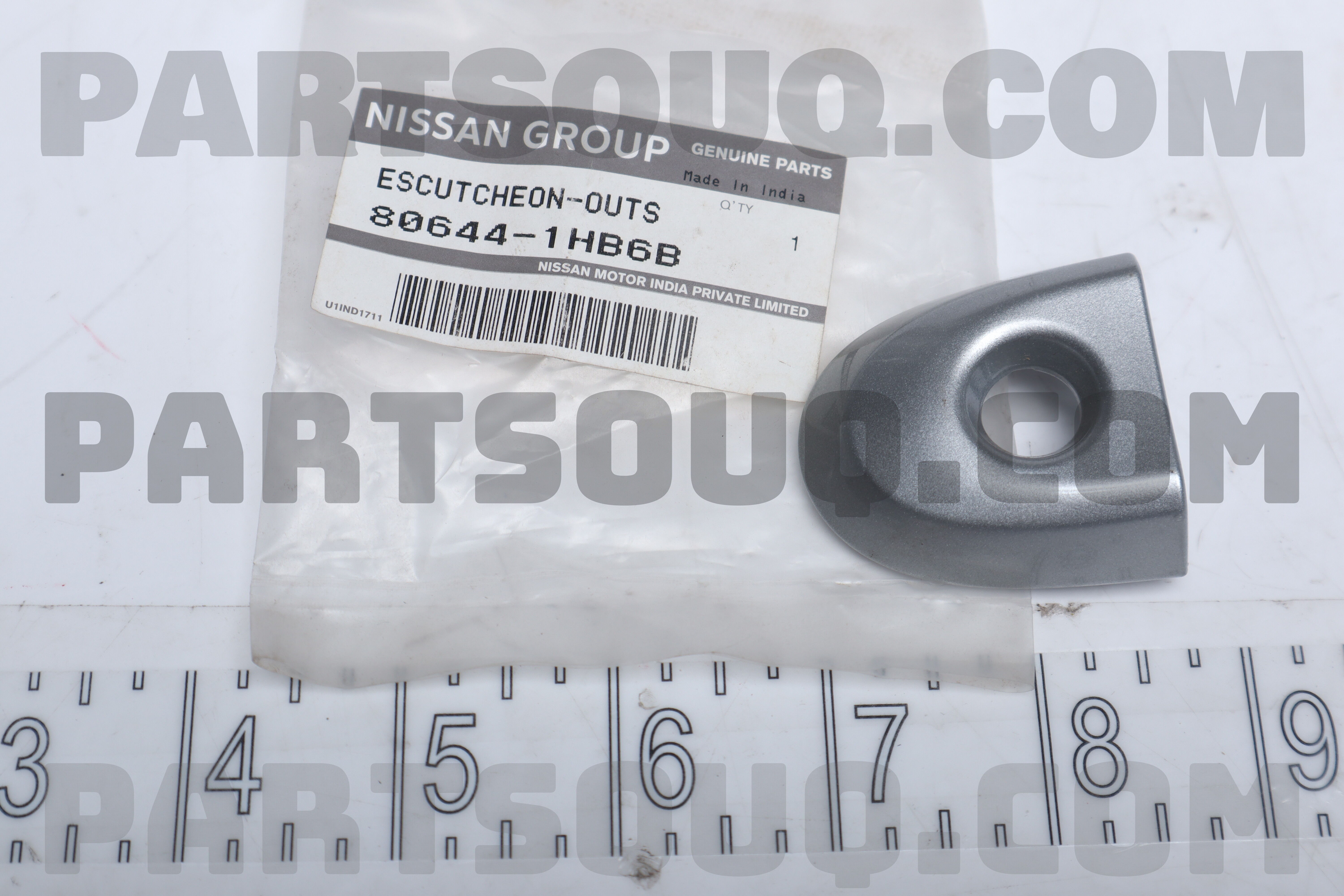 ESCUTCHEON-OUTSIDE HANDLE,FRONT DOOR, RH/LH 806441HB6B | Nissan