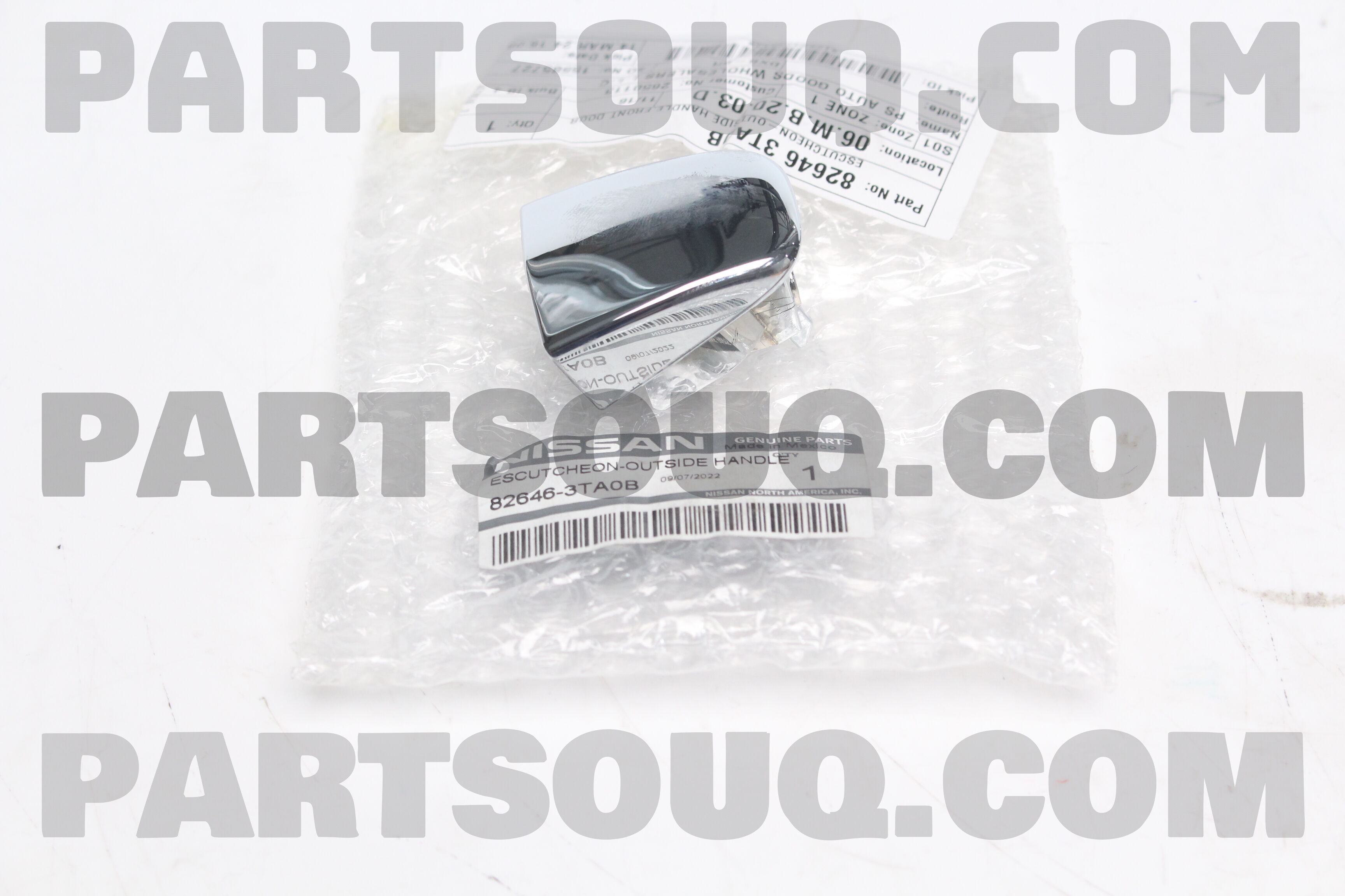 ESCUTCHEON-OUTSIDE HANDLE,FRONT DOOR 826463TA0B | Nissan Parts