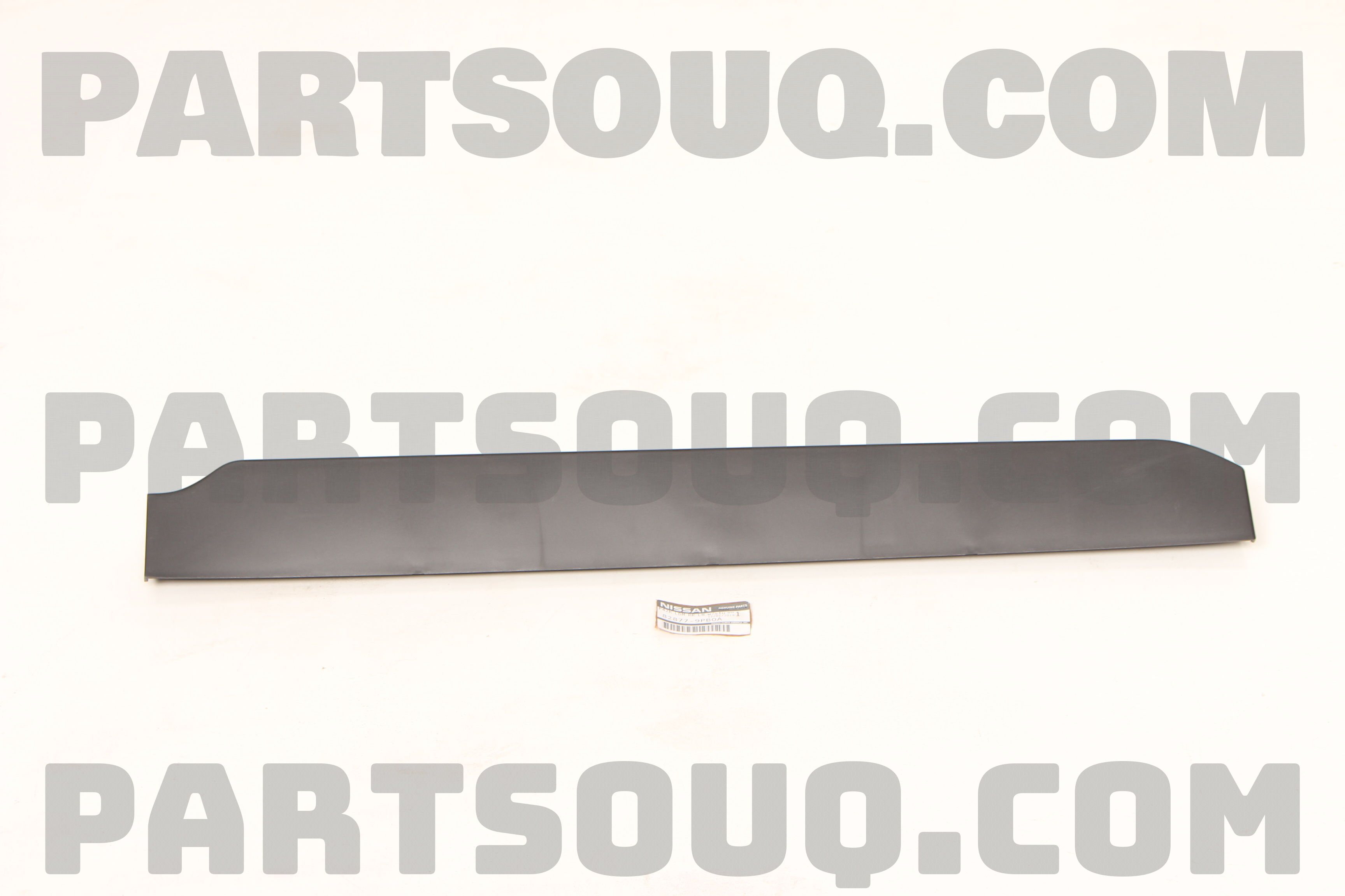 MOULDING R 828779PB0A | Nissan Parts | PartSouq