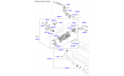 Coolant pipe & Hose 1