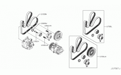 Fan, compressor & Power steering belt