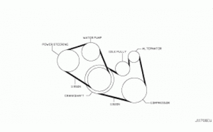 Fan, compressor & Power steering belt