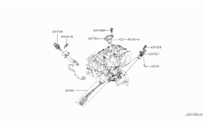 Distributor & Ignition timing sensor