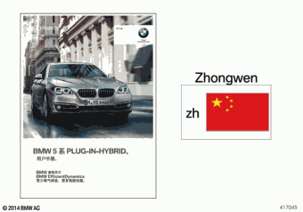 525Li 5S31 06.2016