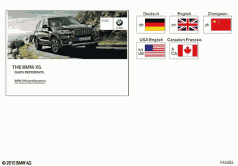 X5 25dX LS01 12.2017