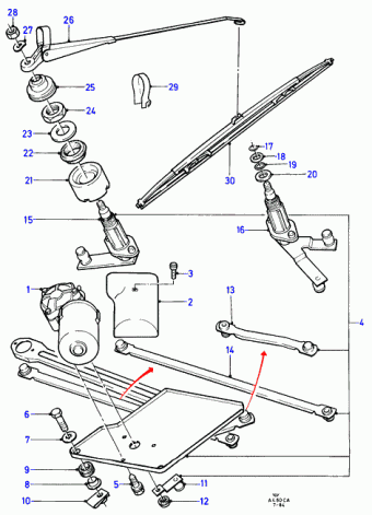 Escort CA 1981-1986 Europe 1981