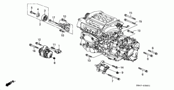 ACCORD Europe 17S8401