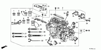 ACCORD Europe 17TL1A01
