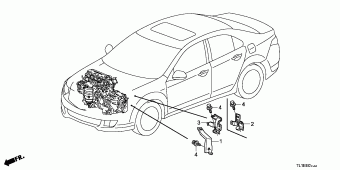 ACCORD Europe 17TL1A01