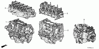 ACCORD Europe 17TL1A01