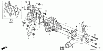 ACCORD Europe 17TL1A01