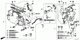 ACCORD Europe 17TL1A01
