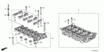 ACCORD Europe 17TL1A01