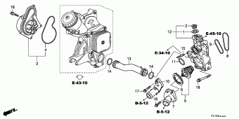 ACCORD Europe 17TL1A01