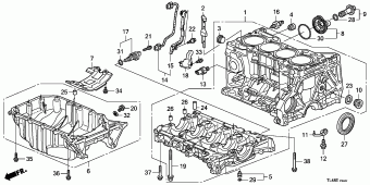 ACCORD EURO TOU 18TL4901 General