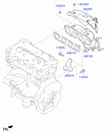 Elantra 08.01.2019 2019