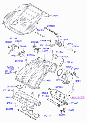 Sonata 27.02.2008 2009