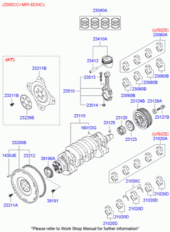 Tiburon 29.01.2002 2002