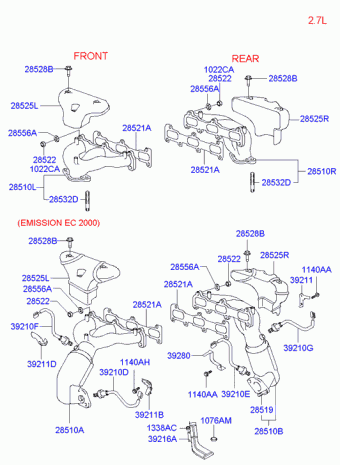 Tiburon 29.01.2002 2002