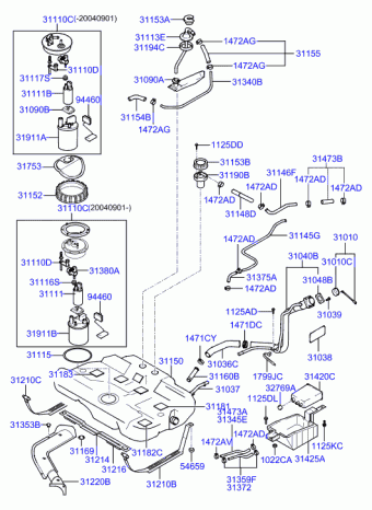 Tiburon 29.01.2002 2002