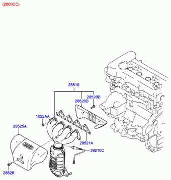 Elantra 24.10.2006 2007