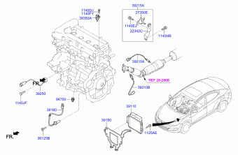 Elantra 11.01.2014 2014
