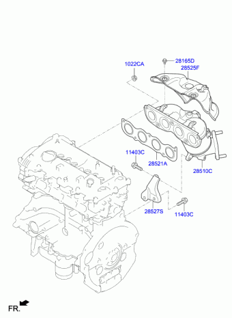 Veloster 03.10.2019 2020