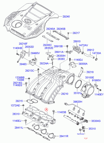 Sonata 12.01.2010 2010