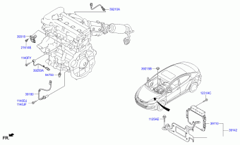 Elantra 01.09.2011 2012