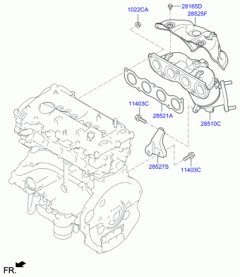 Veloster 10.05.2018 2019