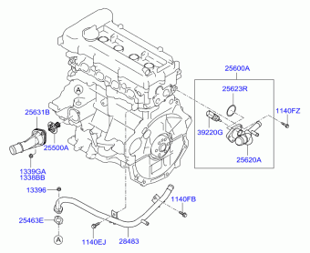 Veloster 20.02.2014 2014