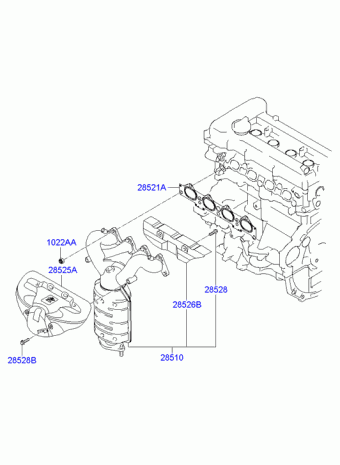 Elantra 30.01.2009 2009