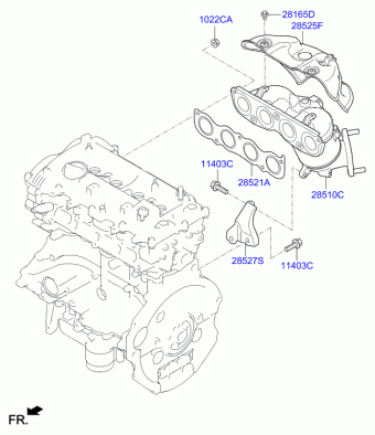 Veloster 26.05.2018 2019