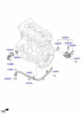Elantra 21.08.2020 2021