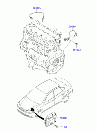 Elantra 14.08.2008 2008
