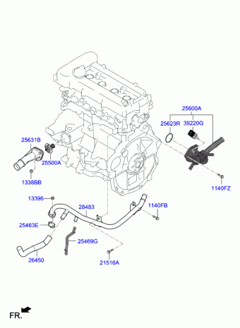 Veloster 20.11.2018 2019