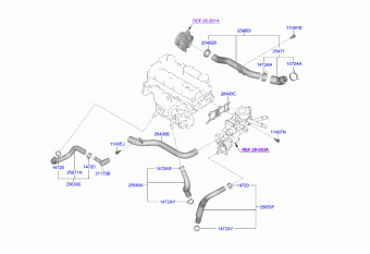 Palisade 21.08.2020 2021