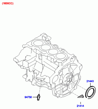 Elantra 25.08.2006 2007