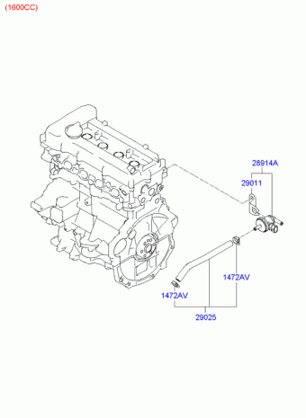 Elantra 25.08.2006 2007
