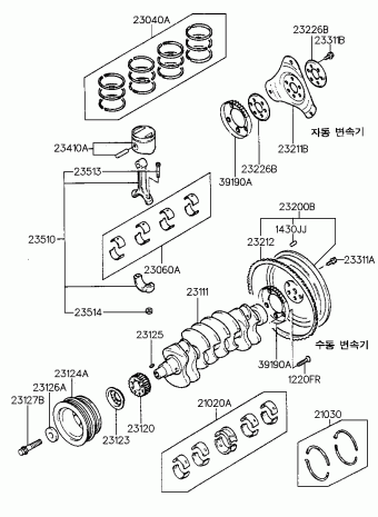 Tiburon 12.12.2000 2001