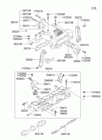 Galloper 2000 2003
